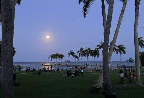 A large gathering of people having picnics at night on the Deering Estate front lawn overlooking Biscayne Bay and the full moon.