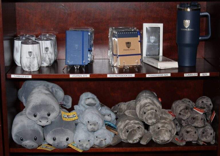 A wooden bookcase that displays insulated wine tumblers, journals, power banks, and a large drink tumbler. Another shelf displays various manatee plushies.