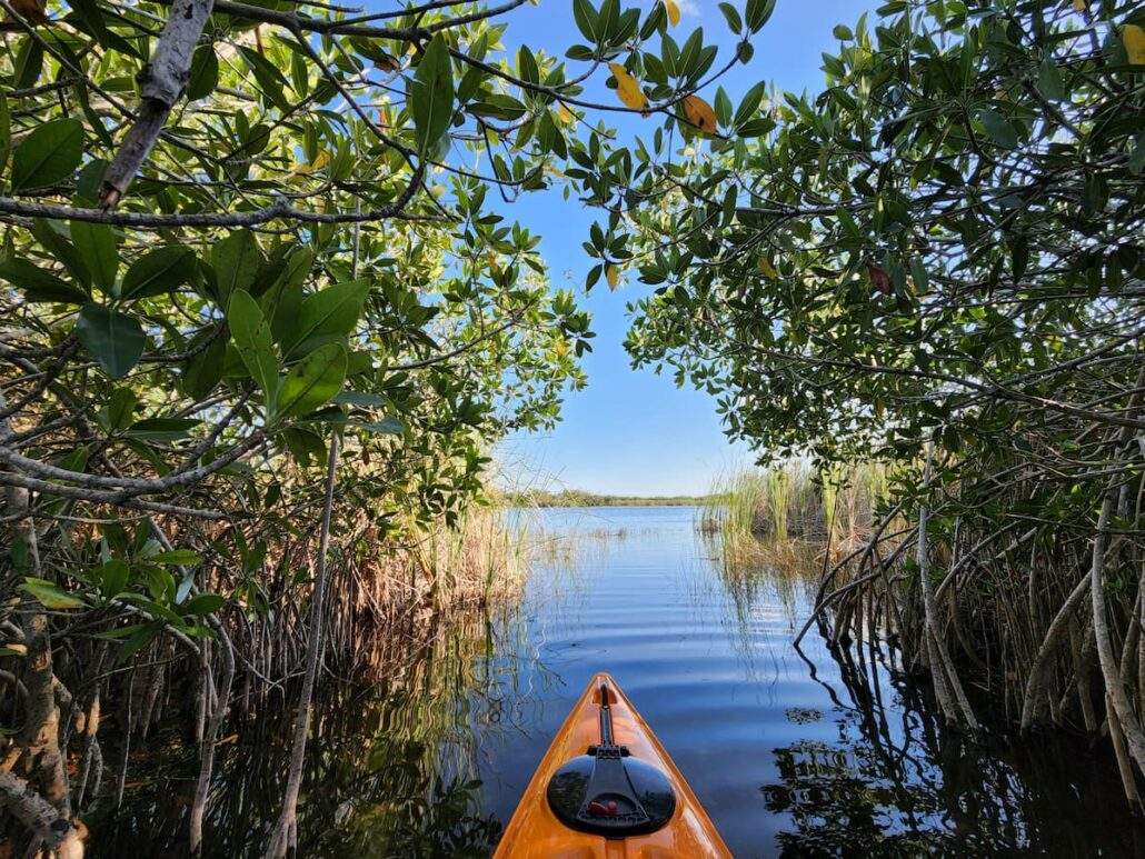 Orange kayak on the water in florida 