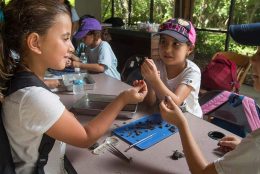 Group of students on a field trip to Deering Estate working together examining owl pellets.